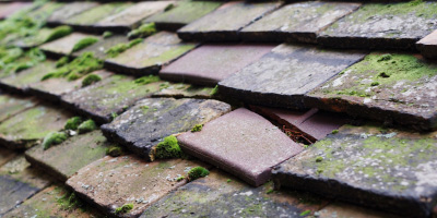 Brook roof repair costs